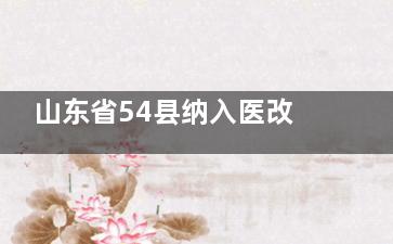 山东省54县纳入医改试点 ***医院将售平价药